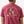 Tee- Classic Duck (Men's)