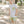 Savannah Boy Pocket Shirt