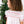 Tiny Town Dress Winslow- White Batiste Holly