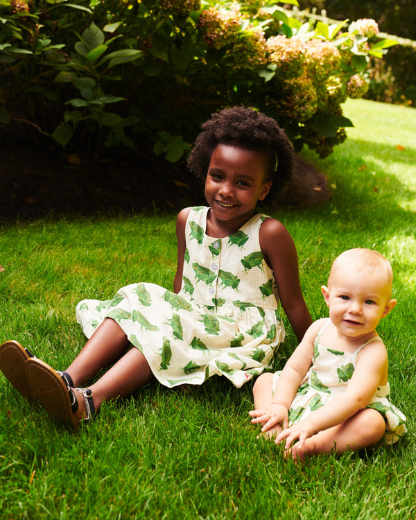 Laura Dress - Frogs
