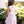 Savannah Strawberry Dress