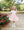 Sundays Best Dress- Petite Pink Velvet