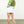 Hand Embroidered Puff Sleeve Top- Green