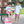 Apple Trio Short Set