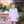 Tea Party Bloomer Set
