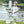 Gone Fishin' Pocket Short Set