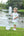 Gone Fishin' Pocket Short Set