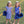 Cheer Uniform Set- Royal Blue