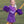 Cheer Uniform Set- Purple