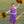 Cheer Uniform Set- Purple