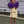 Lucy Game Day Dress- Yellow Stripe/Purple