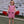 Lucy Game Day Dress- Red Stripe/Black