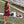 Cheer Uniform Set- Maroon