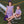 Lucy Game Day Dress- Purple Stripe