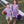 Lucy Game Day Dress- Purple Stripe