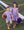 Henry Game Day Polo- Purple Stripe