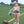 Lucy Game Day Bubble- Orange Stripe