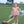 Lucy Game Day Bubble- Orange Stripe