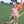 Lucy Game Day Bubble- Orange Stripe