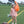 Lucy Game Day Bubble- Orange Stripe