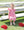 Lucy Game Day Dress- Red Stripe