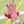 Lucy Game Day Dress- Red Stripe/Black