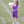 Cheer Uniform Dress- Purple