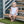 Josie Bubble- Light Blue Stripe/Coral