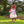 Strawberry Bloomer Set