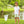 Gone Fishin' Polo Short Set