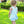 Blooming Floral Swing Back Bloomer Set