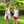 Pick of the Patch Short Set