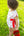Pick of the Patch Woven Bubble