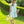 Blooming Floral Ruffle Dress
