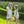 Blooming Floral Ruffle Bloomer Set