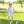 Golf Jon Jon