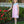 Penelope Dress- Light Pink Stripe/Light Blue