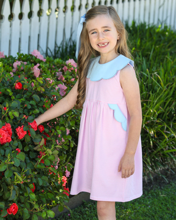 Penelope Dress- Light Pink Stripe/Light Blue