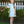 Camilla Dress- Mint Stripe