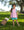 Josie Short Set- Pink Stripe/Teal