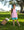 Josie Short Set- Pink Stripe/Teal