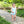 Hayden Bubble- Light Blue