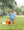 Tractor Trail Bubble