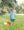 Tractor Trail Short Set