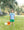 Tractor Trail Short Set