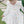 Tutu Twirl Dress
