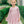 Zinnia Blooms L/S Twirl Dress