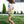 Elle Polo- Cream