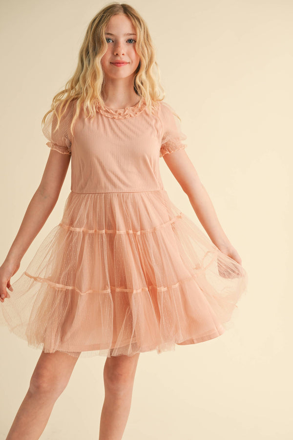 Puff Sleeve Tiered Mesh Dress