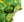 T-Rex Hooded Cape- Green